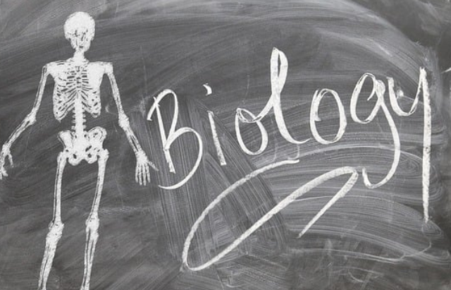Biology